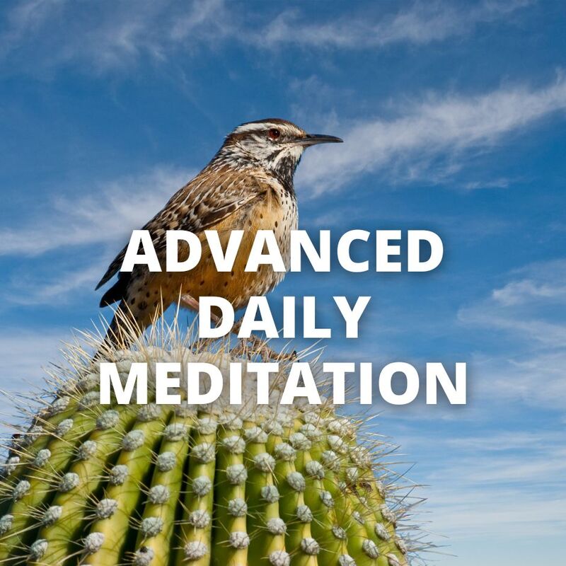 "advanced daily meditation" superimposed on a photo of a bird resting on a cactus with blue sky and clouds 